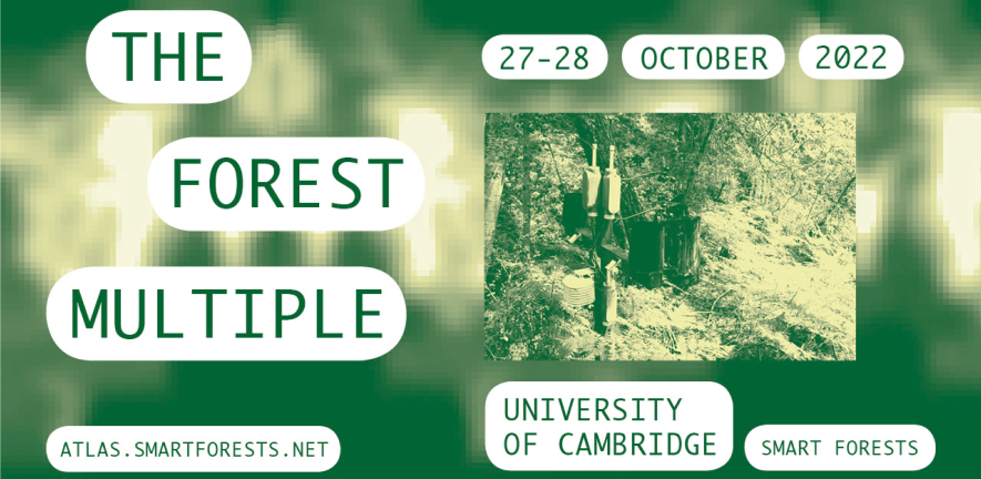 The Forest Multiple