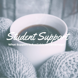 250x250 student support