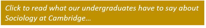 Undergradquote