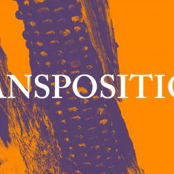 Transpositions Performance